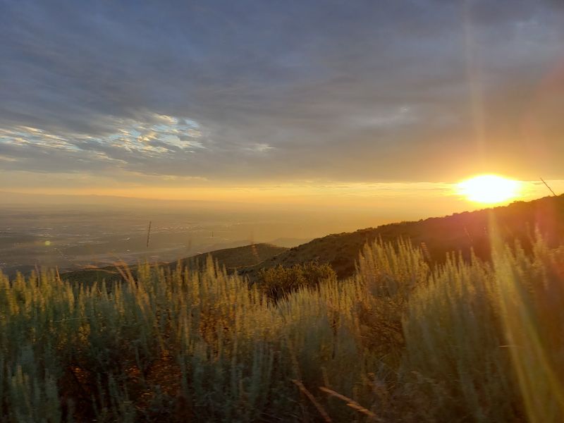 Turn A Mountain Visit Into One Of Idaho's Wildest Seasonal Spectacles
