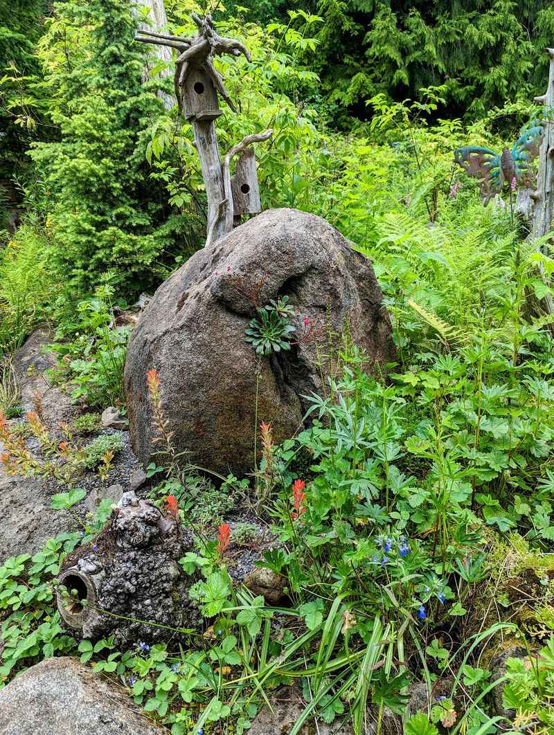 Designing Gardens That Belong Here