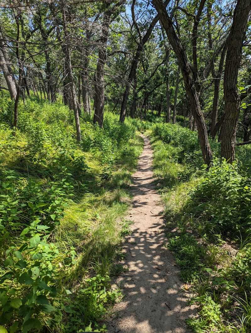 Try The Short Nature Trail Behind The Education Center