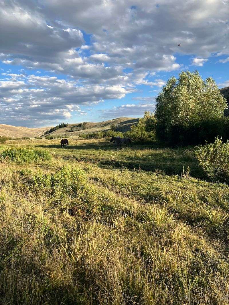 Finish The Trip With A Whole New Sense Of Idaho's Wild Side