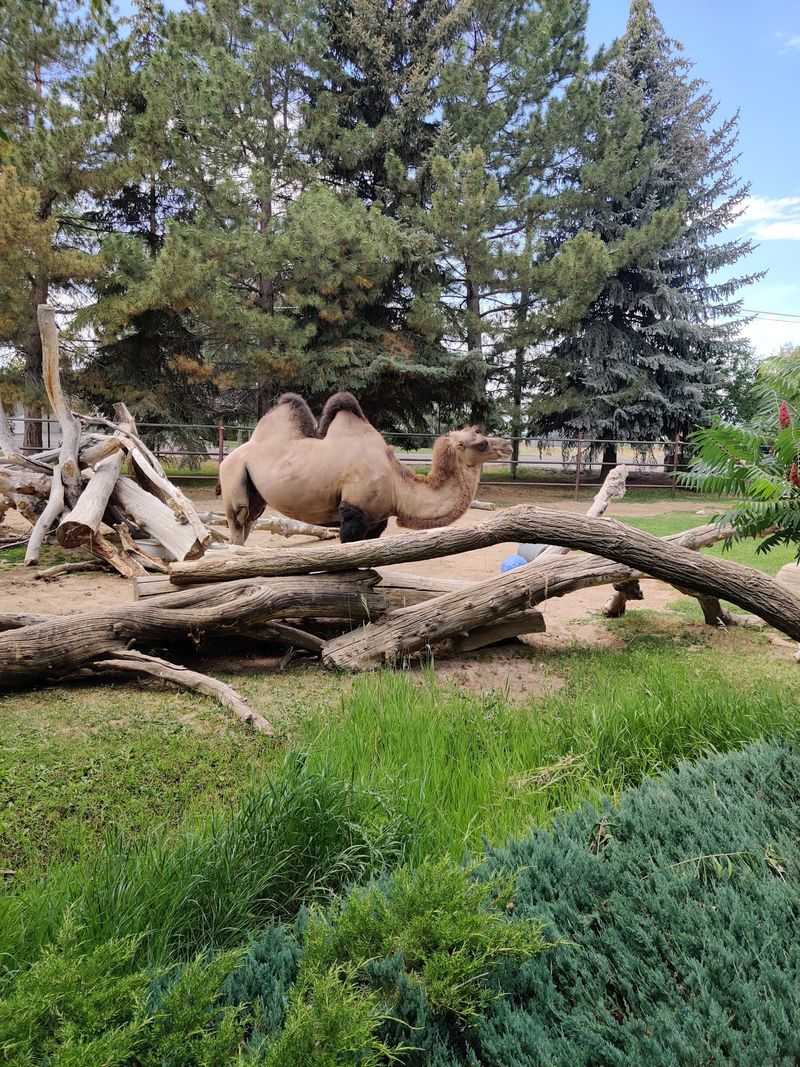 Slow Down In The Shady Parts Of Tautphaus Park