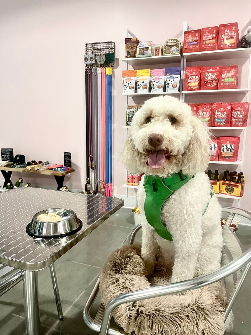 Watch A Simple Treat Run Turn Into A Full Doggie Dessert Date