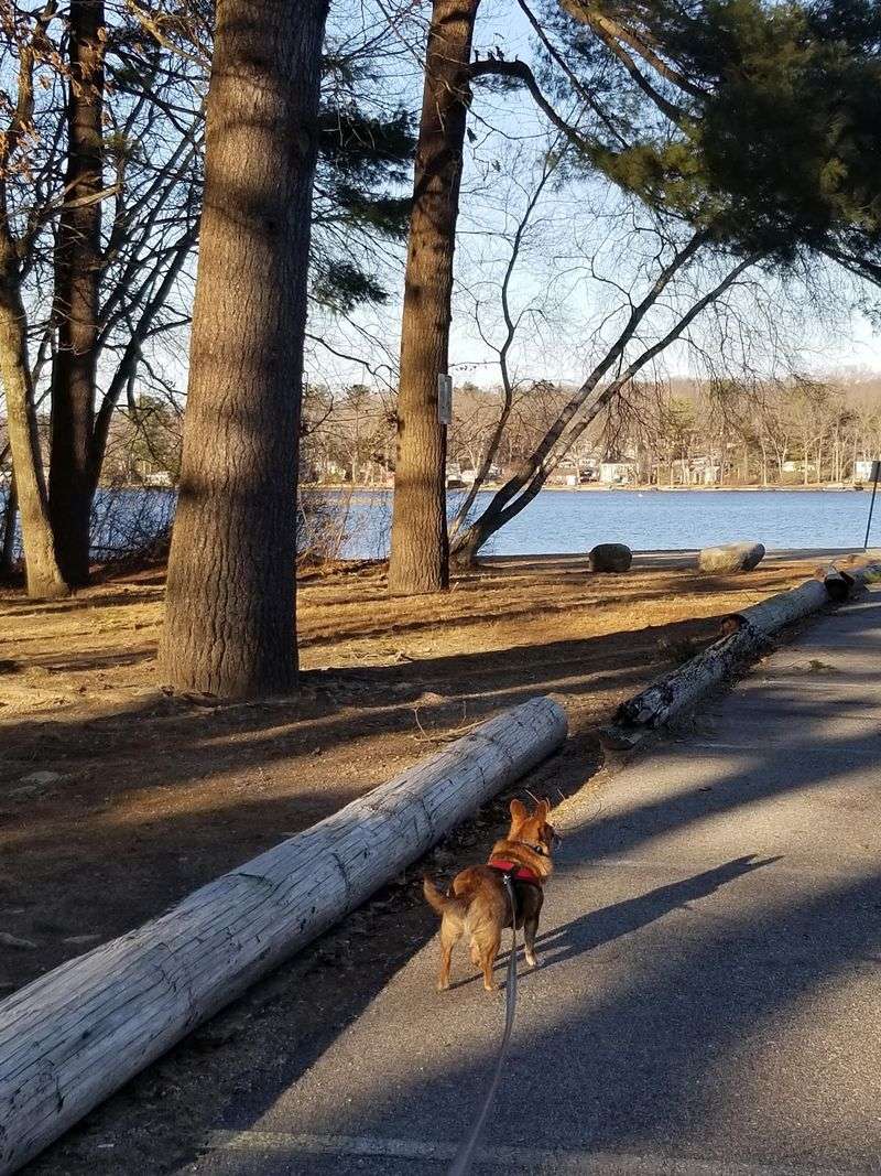 These 10 Rhode Island Lake Beaches Are Too Beautiful To Pass Up - Decor Hint Briar Point Beach, Coventry