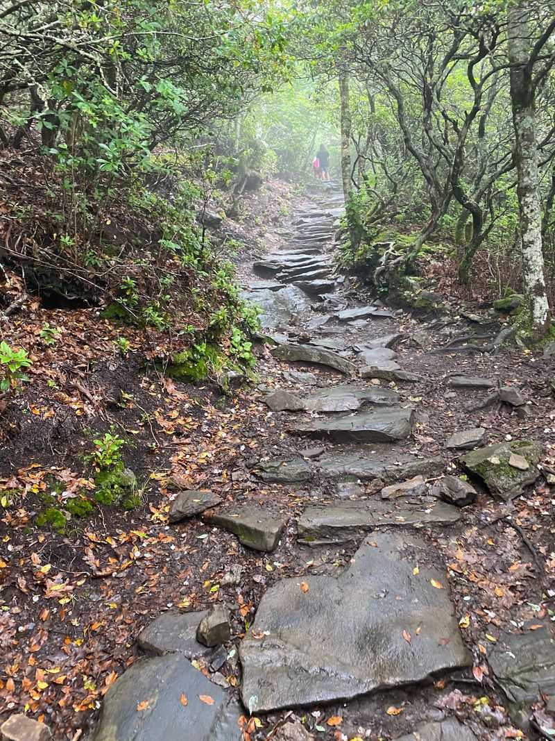 These 9 North Carolina Hiking Trails Locals Skip In August But Return To In September - Decor Hint Mount Pisgah Trail, Near Asheville