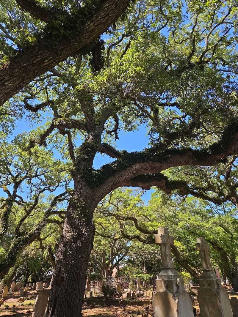 This 300-Year-Old North Carolina Cemetery Is Filled With Graves And Legends You Would Never Expect - Decor Hint Leave With A Very Different Picture Of Beaufort's Past
