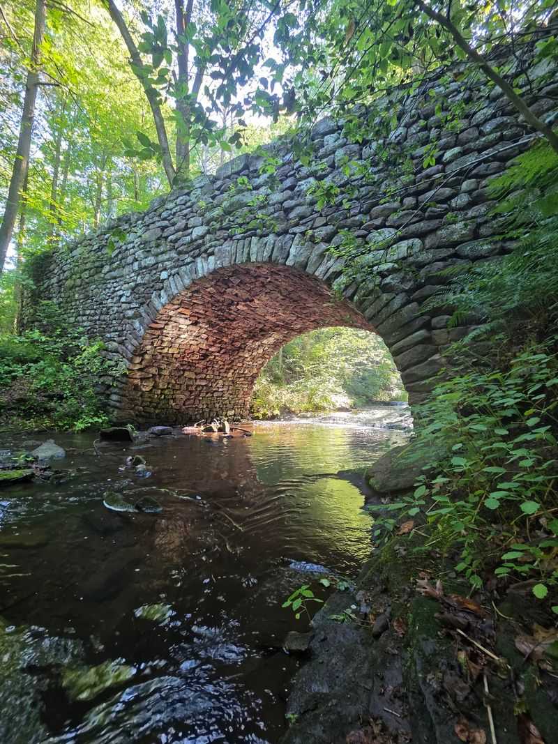 Footbridges, Forest Paths, And Rocky Stretches