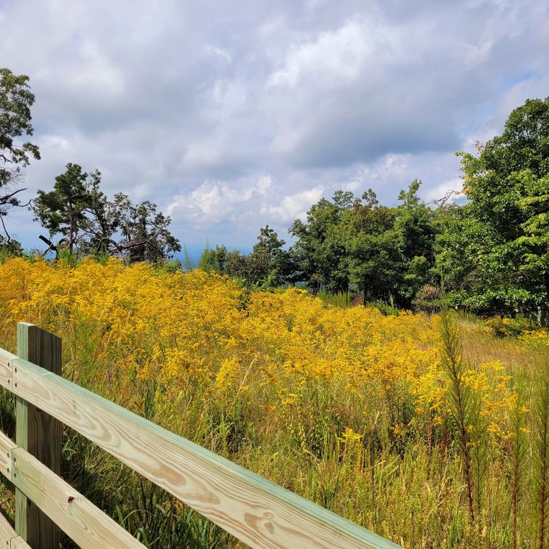 Pilot Knob Trail