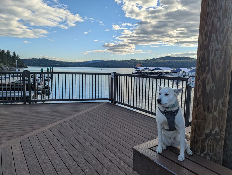 Practical Tips for Your Visit