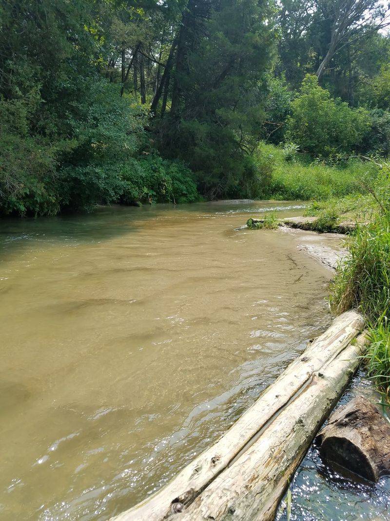 Cool Off Beside The Clear Waters Of Long Pine Creek