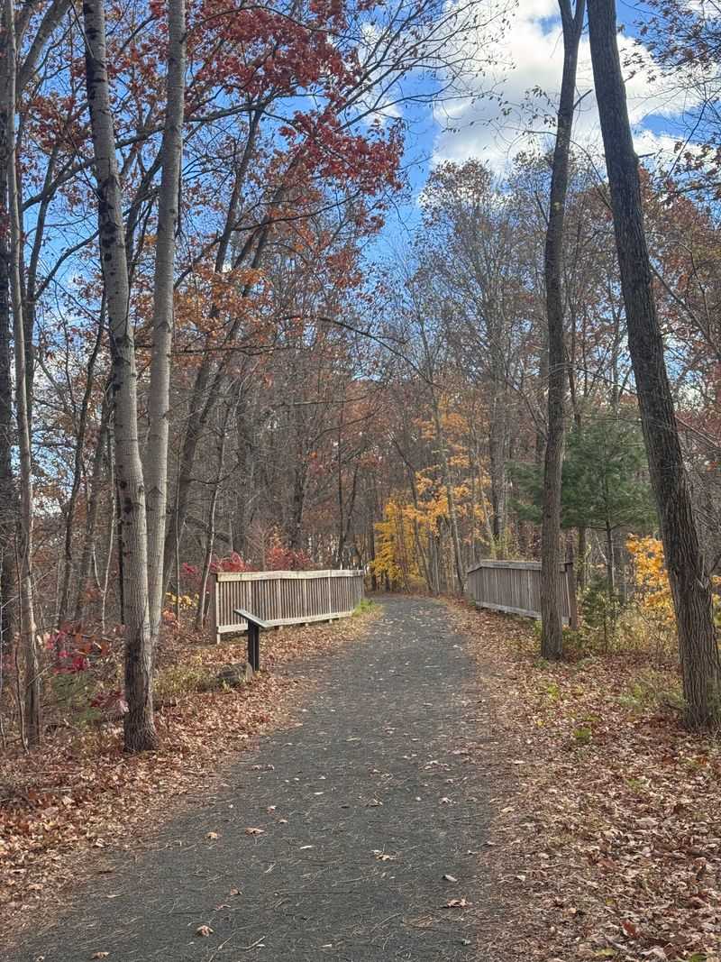 Historic Bridges Still Shape The Route