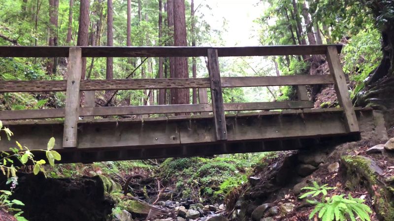 Small Footbridges Carry Hikers Across The Water
