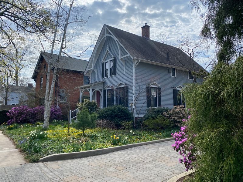 Old Neighborhood Character Beside A New Growth Spurt