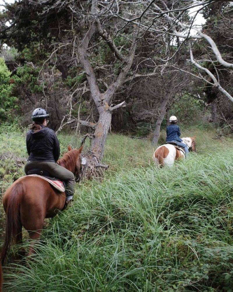 Three-Hour Private Rides Go Deeper Into The Coastline