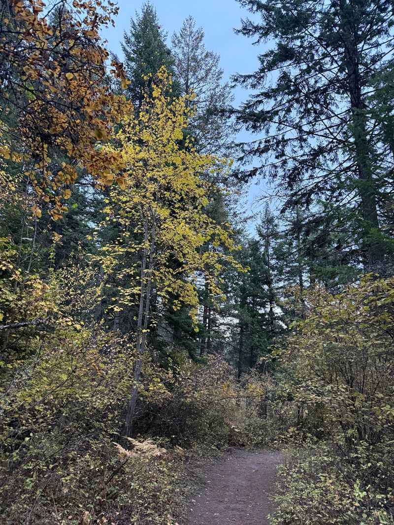 Follow Shady Paths That Make This A Comfortable Warm-Weather Hike