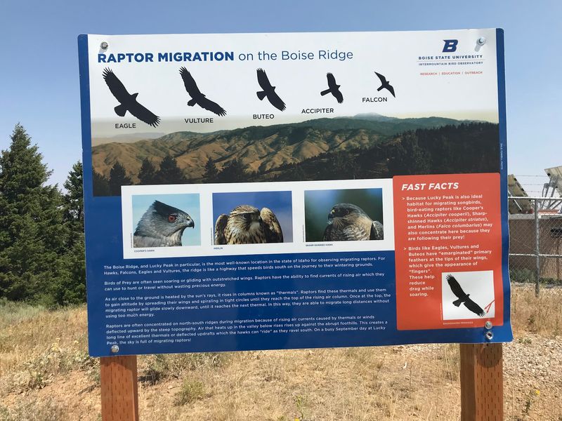 See Bird Researchers At Work High Above The Treasure Valley