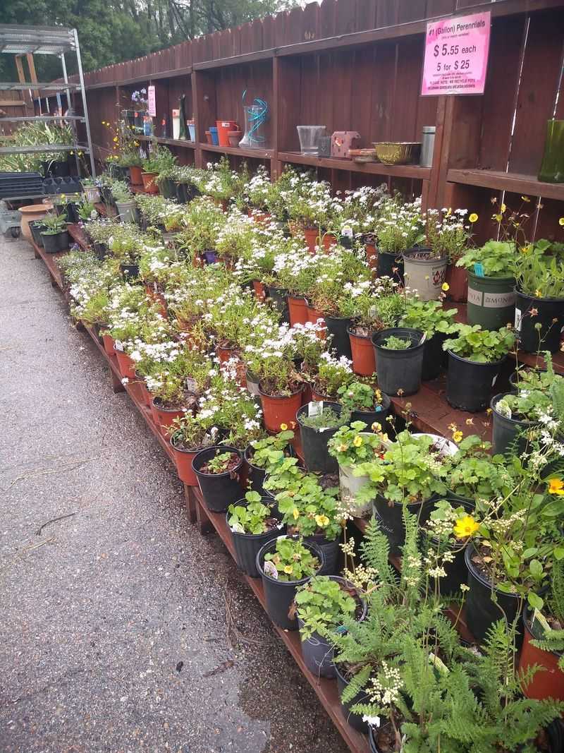 Expect The Selection To Be Different Every Time You Visit