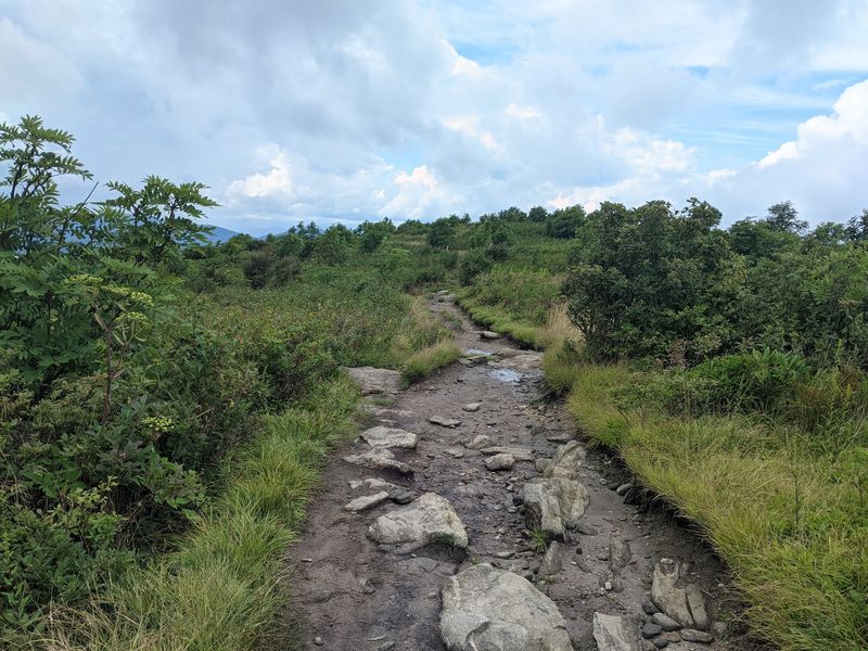 Art Loeb Trail At Black Balsam Knob, Near Canton, North Carolina