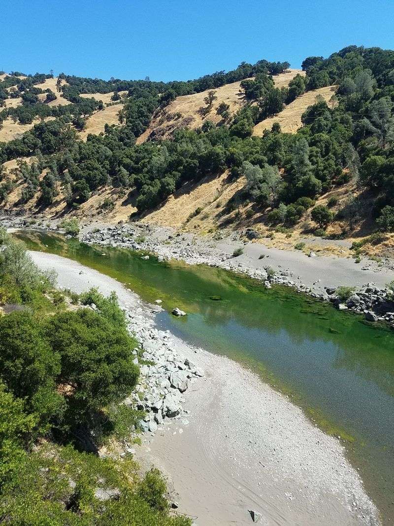 Welcome To This California Forest Where Even The Ticks Come With A Warning - Decor Hint The Middle Fork Eel River Runs Through The Wildest Part