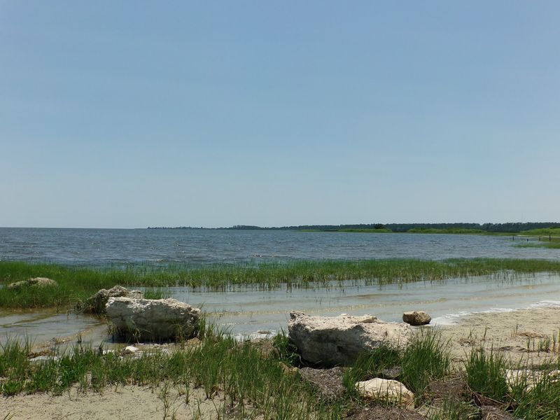 St. Marks National Wildlife Refuge, St Marks