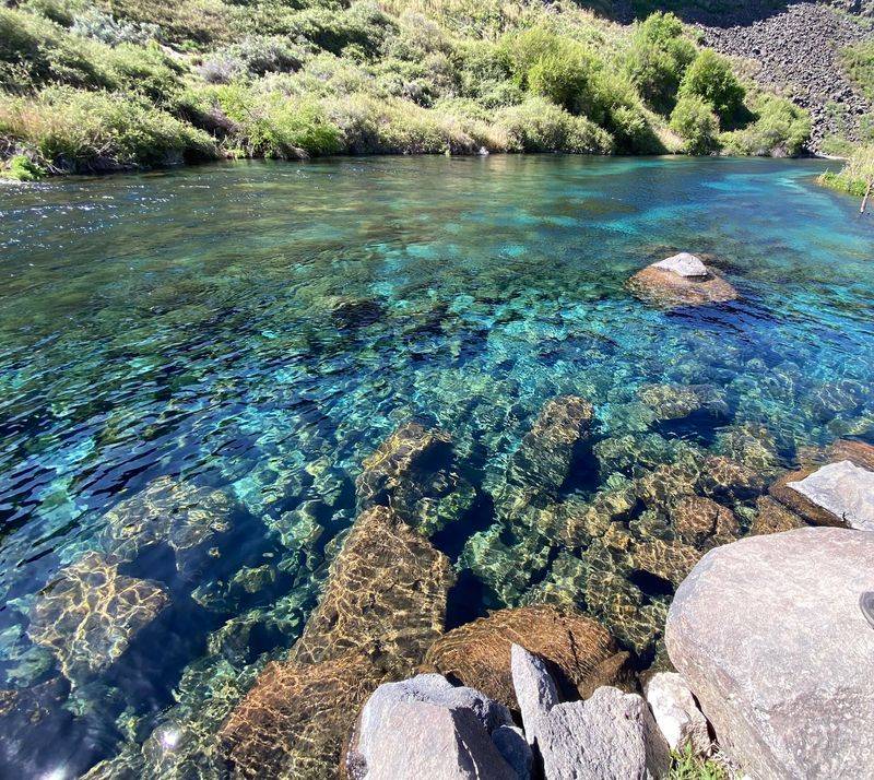 Box Canyon Springs Preserve, Wendell