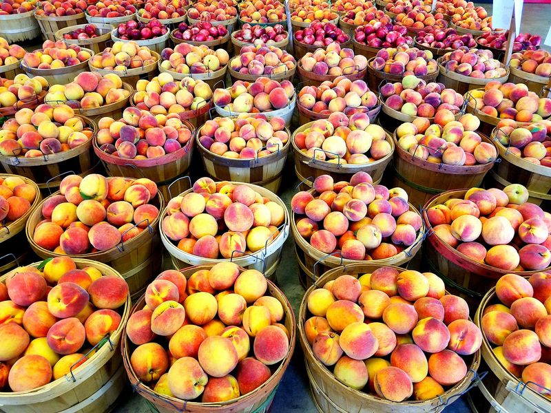 Peaches In Summer That Taste Like The Real Thing