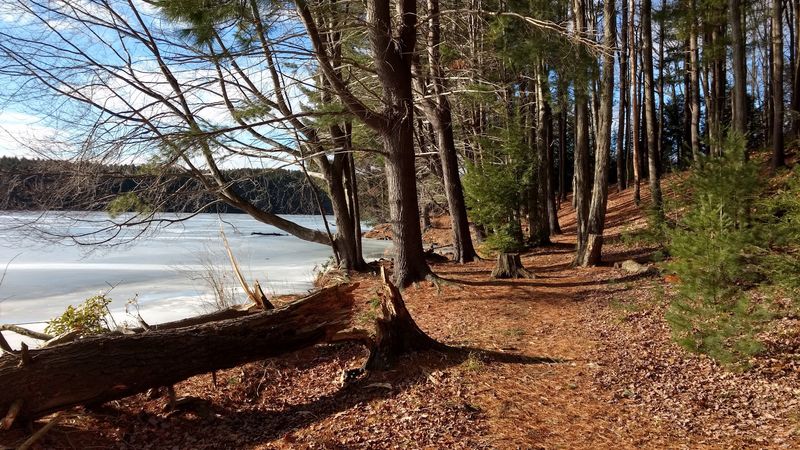 10 Quiet Lakes in Pennsylvania That Are Perfect For A Weekend Escape - Decor Hint Hills Creek State Park