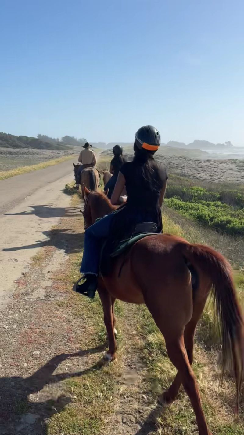 You Can Choose A One-Hour Beach Ride