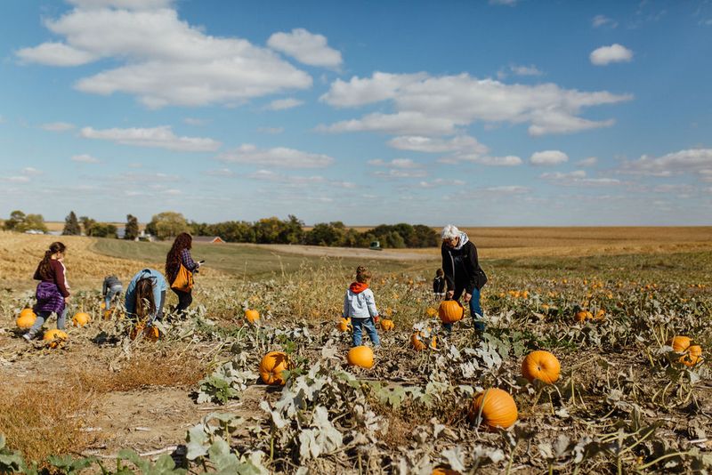 Avoca, Pumpkins, Butterflies, And Bloom Farm