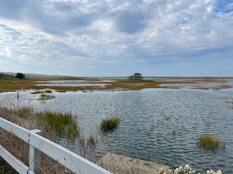 Quiet Trails Leading To Scenic Coastal Escapes
