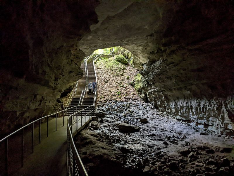 Scientists Keep Finding Ancient Sharks Inside Kentucky's Most Famous Cave - Decor Hint A Park Guide Spotted The First Big Clue