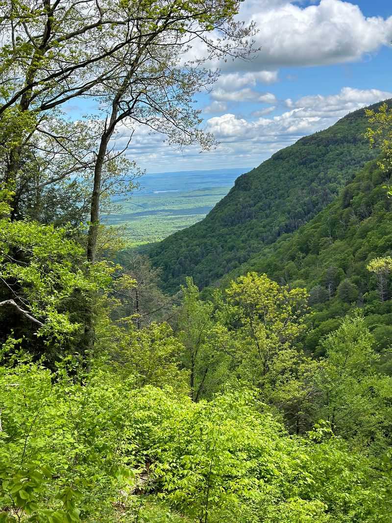 A Mountain Road Less Traveled