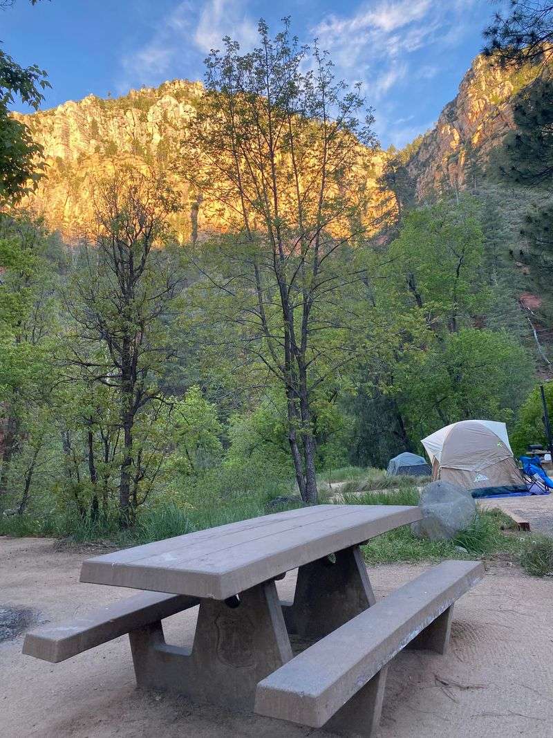 9 No-Reservation Campgrounds In Arizona For A Spontaneous Escape - Decor Hint Pine Flat Campground, Oak Creek Canyon