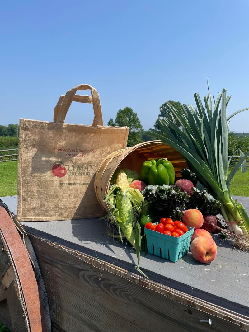 10 Fruit Farms In Connecticut That Belong On Your Summer Bucket List - Decor Hint Lyman Orchards, Middlefield