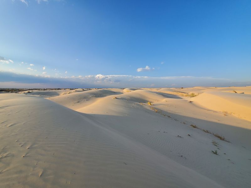 9 Texas Day Trips That Go Beyond The Usual Tourist Attractions - Decor Hint Monahans Sandhills State Park