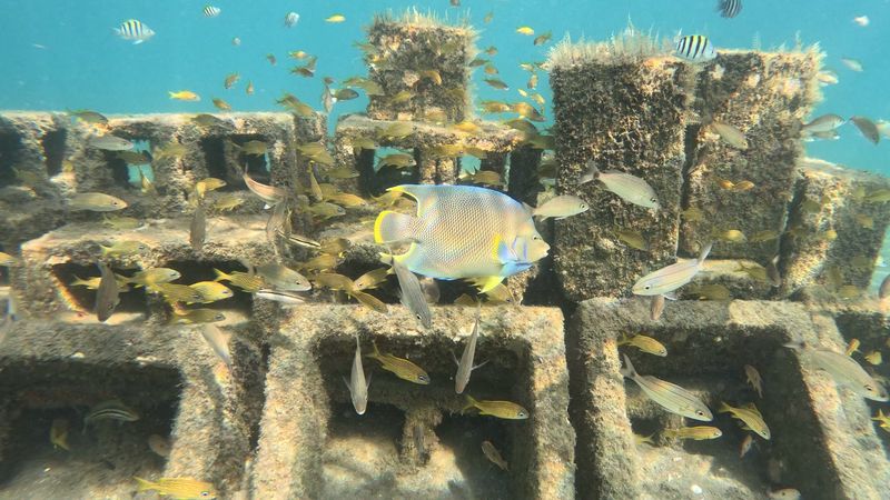 Sunken Sculptures Beneath The Surface