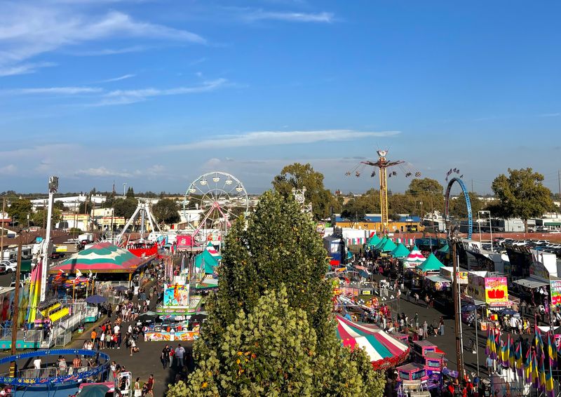 13 California Festivals Worth Planning A September Road Trip Around In 2026 - Decor Hint Lodi Grape Festival, Lodi