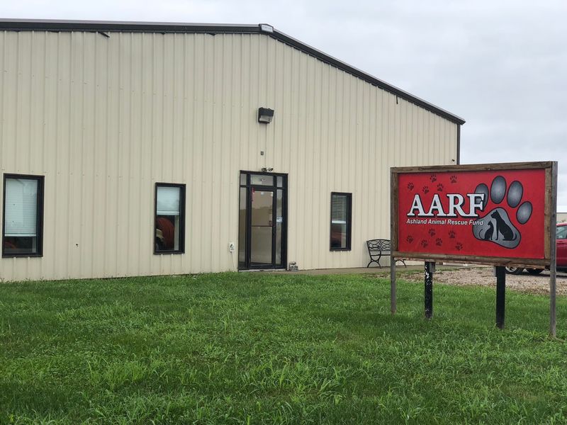 Ashland Animal Rescue Fund