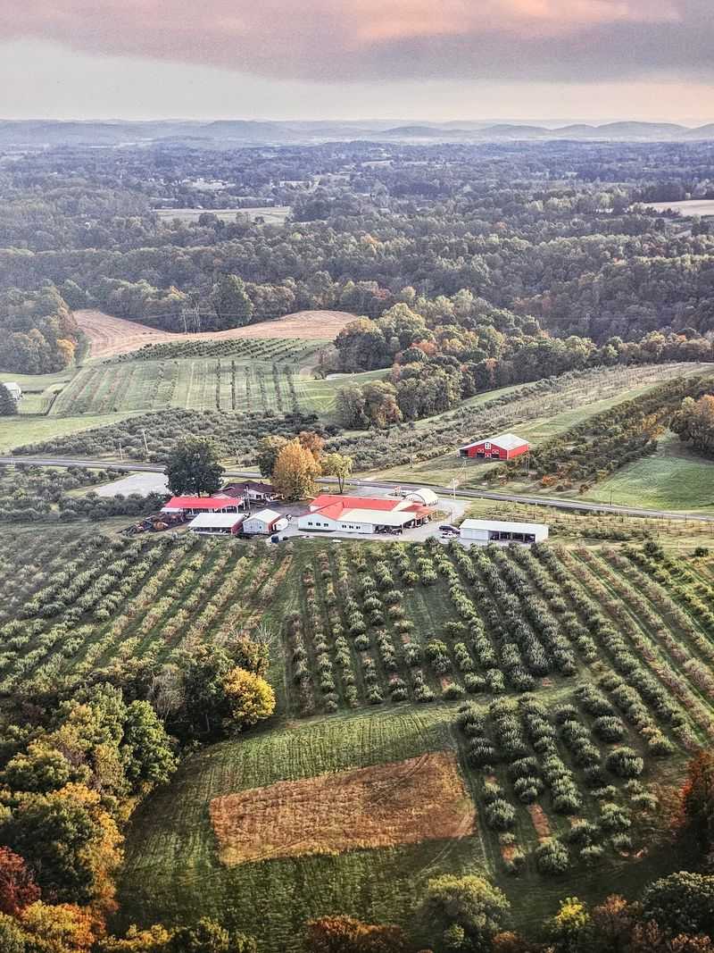 Haney's Appledale Farm