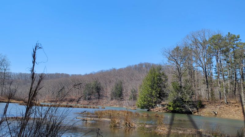Wildlife Worth Slowing Down For