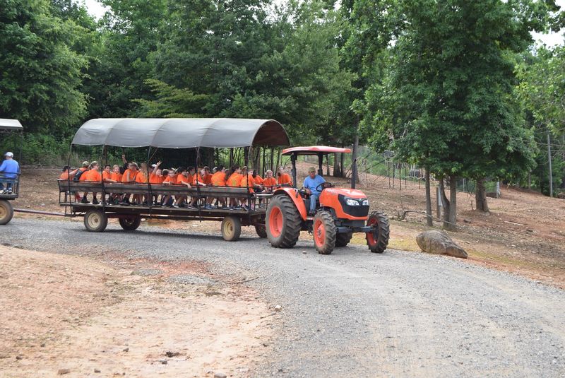 Bring The Kids For A Day That Feels More Interactive Than A Typical Zoo Visit