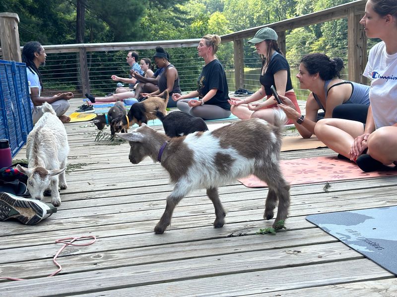 Yoga On A Covered Deck That Works In Any Weather