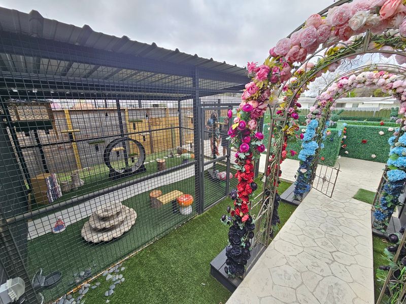 This Texas Cat-Themed Destination Is Every Cat Lover's Dream Come True - Decor Hint The Outdoor Maze Is A Surprise