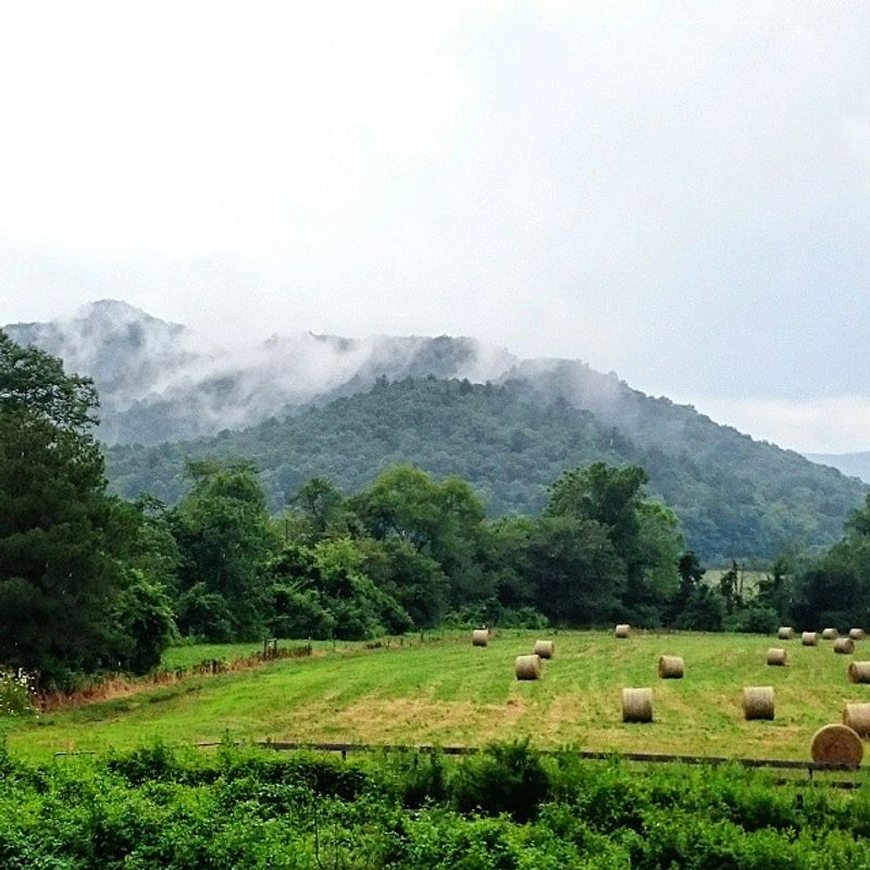 10 Quiet Georgia Mountain Towns That Haven't Been Ruined By Tourists Yet - Decor Hint Dillard
