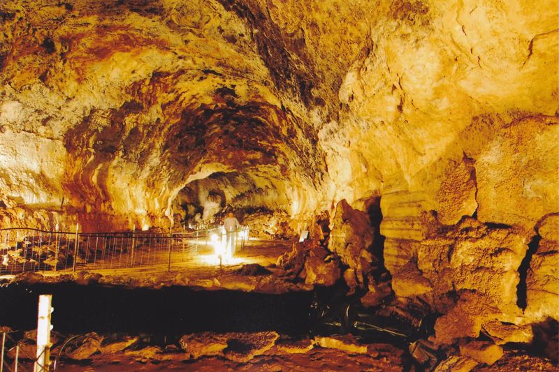 10 Fascinating Museums In Southern Idaho That Are Must-Visits In August - Decor Hint Richard Arthur Olsen Museum Of Natural History, Shoshone