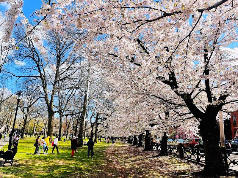 Wooster Square Park, New Haven
