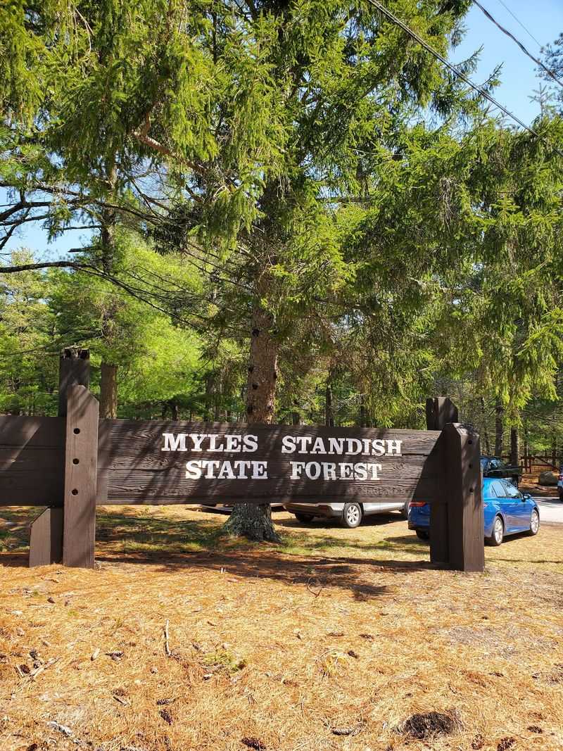 Myles Standish State Forest, Carver And Plymouth