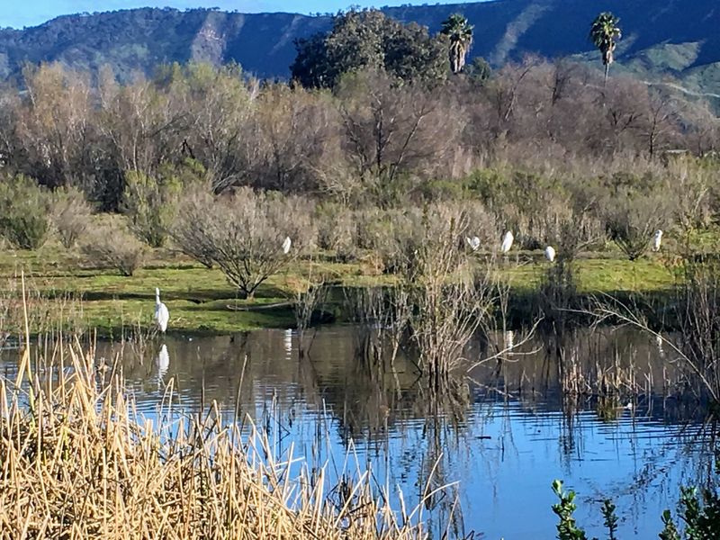 Santa Barbara And Ojai Loop