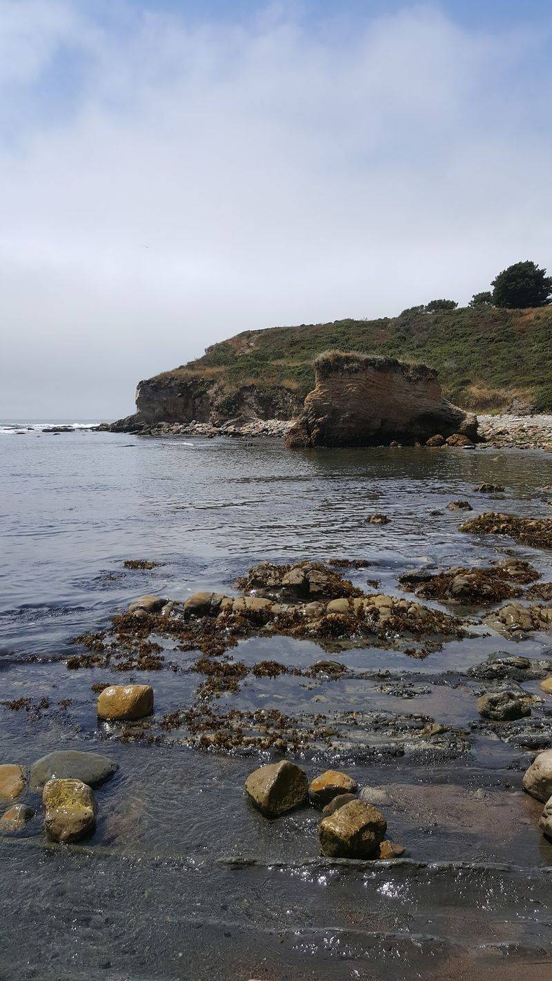 Bowling Ball Beach, Point Arena