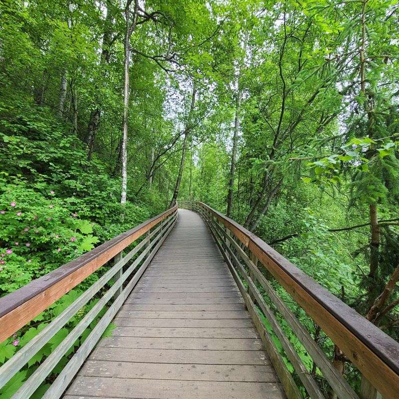 Trails For Every Ambition