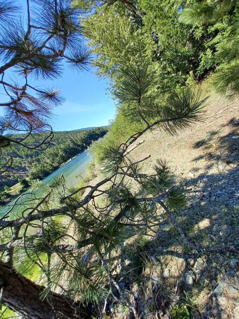 Driving The Gravel Loop